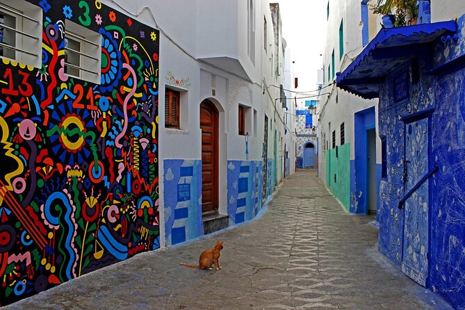 Tangier & Asilah Private Tour with from Malaga or Marbella - Discovering the Vibrant Medina of Tangier