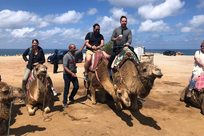 Tangier Day Trip from Seville - Experiencing the Vibrant Public Squares and Modern Districts