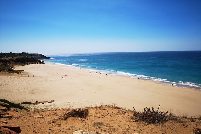 Tangier (Morocco) Day Trip from Seville with Local Guide - Returning by Ferry and Transfer Back to Seville