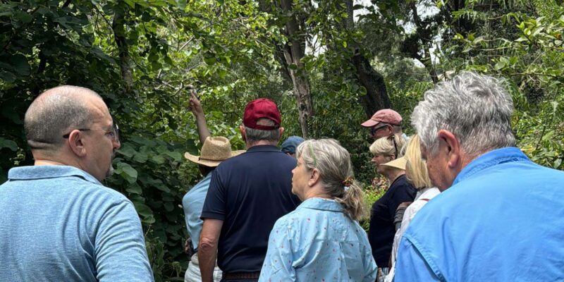 Tangier private luxury tour from Tarifa All inclusive - Savoring an Authentic Moroccan Lunch at a Top-Rated Restaurant