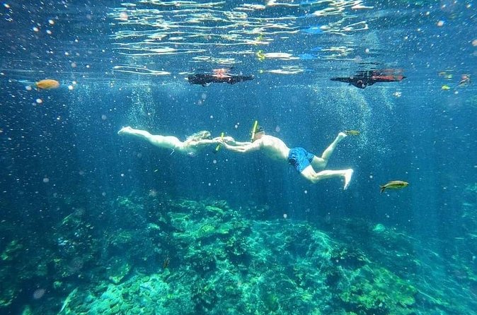 Tankah Mayan Village Zipline Nature Park - Snorkeling and Water Activities in the Cenotes