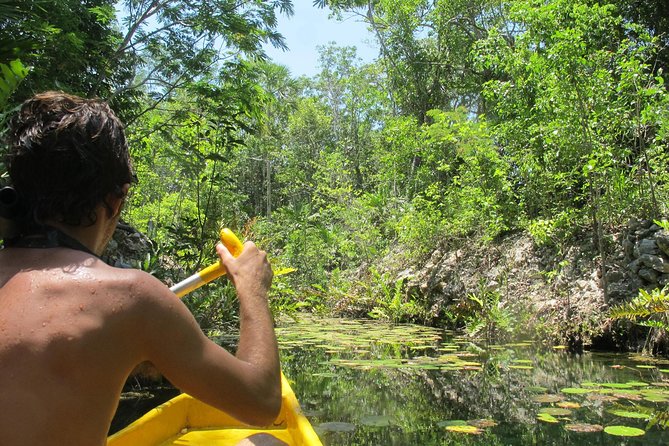 Tankah Park Five Cenotes Adventure Tour from Tulum - Key Points