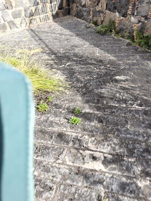 Taormina: Excursion on the Saracen Path - Key Points