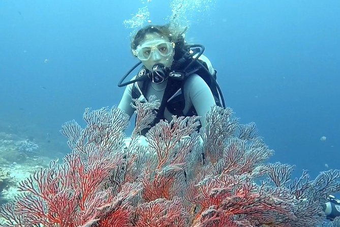 Taormina Scuba Diving Experience - The Experience of Breathing Underwater for the First Time