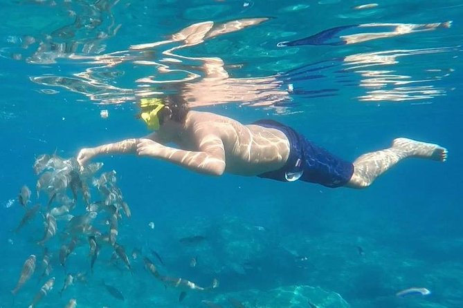 Taormina snorkeling experience - Exploring the Snorkel Sites near Taormina