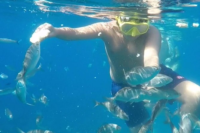 Taormina snorkeling experience - The Guide’s Role in Enhancing the Experience