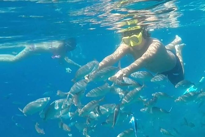 Taormina snorkeling experience - Who Would Most Enjoy This Tour?