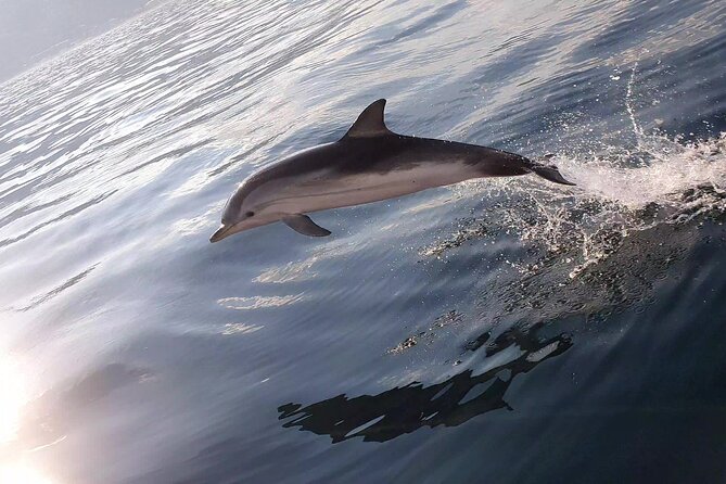Taormina Sunset Aperitif on-Board - Capotaormina: Marvels of Underwater Life and Elevated Views