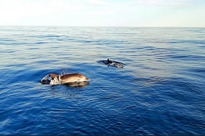 Taormina Sunset Aperitif on-Board - The Experience of the Crew and Reviews