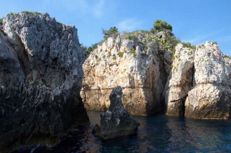 Taormina: White Lotus Tour - Dolphins and Marine Life Watching Opportunities