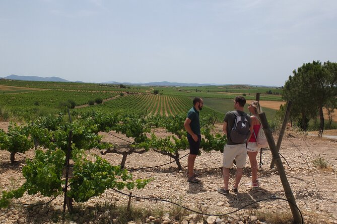 Tapas in the vineyards - Logistics and Meeting Arrangements