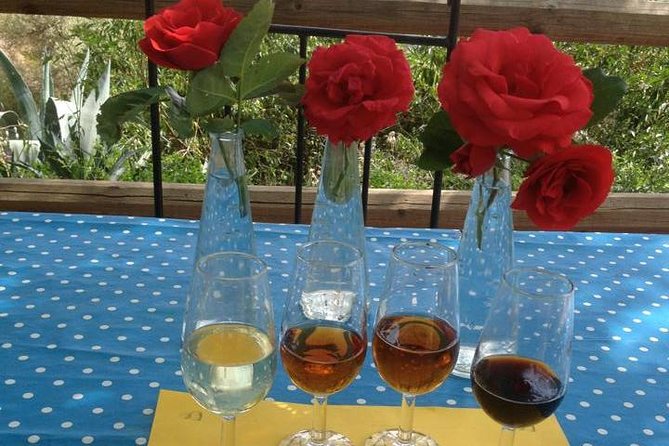 Tapas & Sherry an Andalucian Gourmet Experience. - The Chef and Guide: Lynsey’s Warmth and Expertise