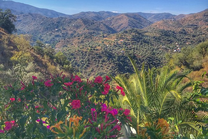 Tapas & Sherry an Andalucian Gourmet Experience. - Practical Details and Booking Considerations