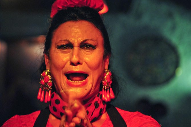 Tapas, Wine and Flamenco Private Tour - Enjoying the Flamenco Show in a Medieval Palace