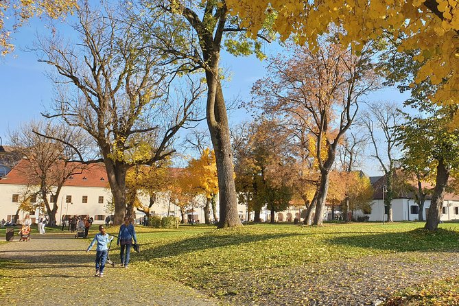 Targu Mures 3 hours walking tour - Discovering the Mayor’s House and Main Square