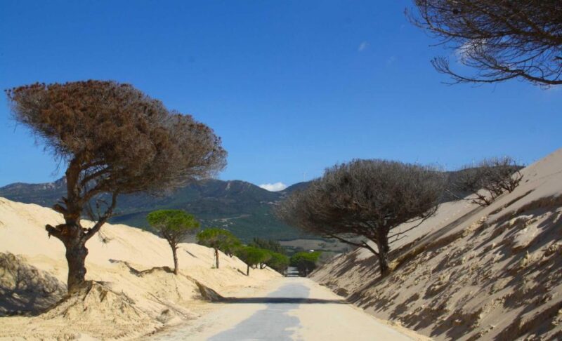 Tarifa: Ebike Rental Ruta del Estrecho - Discover the Coastal Charm of Tarifa with an E-Bike Rental
