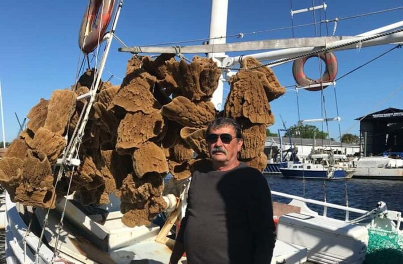 Tarpon Springs: I Came, I Saw... I Greeked Experience - Walking Through the 120 Acres of Sponge Dock District