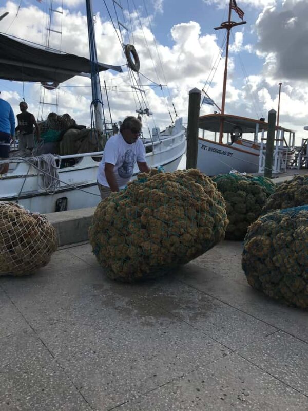 Tarpon Springs: Sponge Dock Stroll - Why This Tour Stands Out in Tarpon Springs