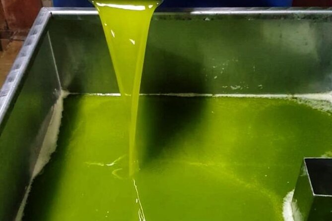 Tarragona: History & Olive Oil tasting from Barcelona - A Unique Tour Combining Tarragona’s History and Olive Oil Heritage