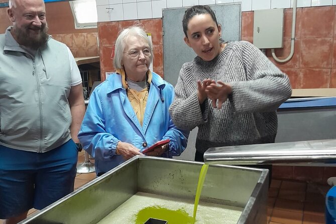 Tarragona: History & Olive Oil tasting from Barcelona - Visiting an Olive Oil Mill Established in 1940