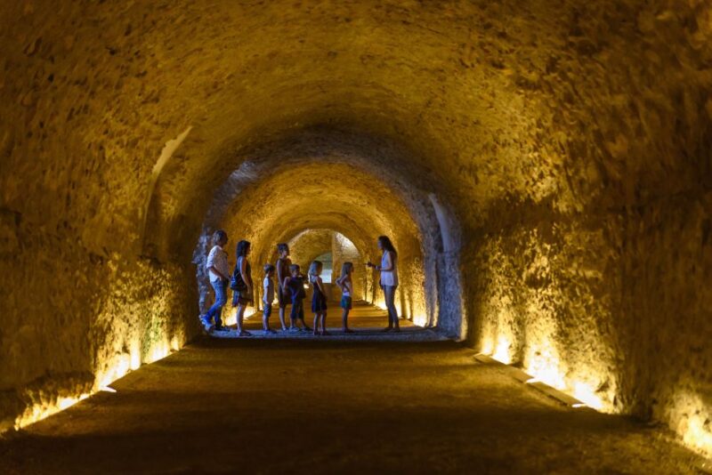 Tarragona: Roman Heritage Guided Walking Tour - Visiting the Circus Vaults and Chariot Race Sites