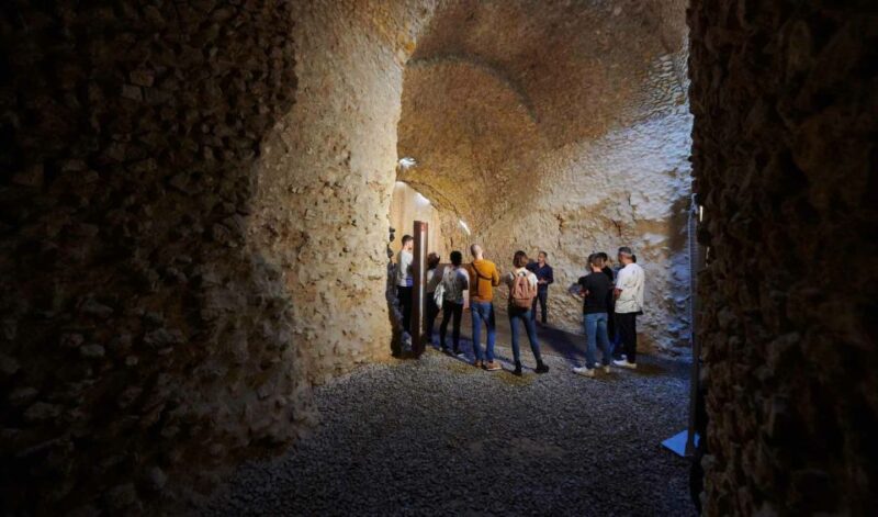 Tarragona: Roman Heritage Guided Walking Tour - Why Choose This Tour?