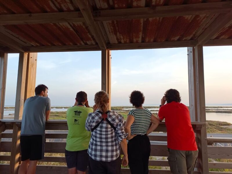 Tarragona: Southern Delta Birdwatching Private Tour - Starting Point at La Casa de Fusta in Tarragona