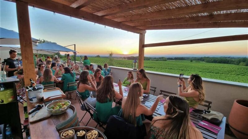 Tassarolo: Guided Cellar Tour and Wine Tasting - Exploring the Winerys Facilities