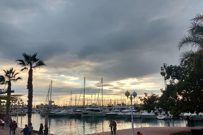 Taste Alicante Guided Tour - All Tastings and Beverages Included for a Stress-Free Experience