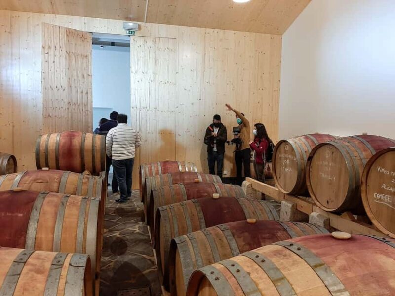 Taste amazing wines in Alentejo! - Discover the Taste of Alentejos Unique Coastal Wines