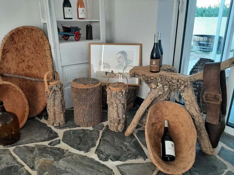 Taste amazing wines in Alentejo! - Key Points