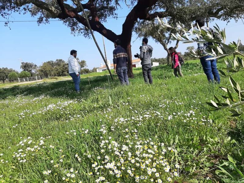 Taste amazing wines in Alentejo! - Scenic Drive and Return to Castelo de Sines