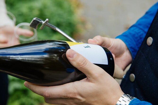 Taste and Tour Small Organic Wineries with a Winemaker - Weingut Feldtheorie in Kamptal: Passion for Natural Wines