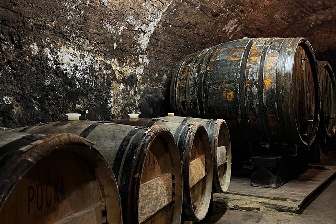 Taste and Tour Small Organic Wineries with a Winemaker - WeinSchach: Innovating Sparkling Wines in Langenlois