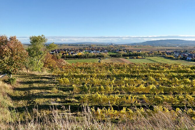 Taste and Tour Small Organic Wineries with a Winemaker - Scenic Finale at Ausblick am Welterbesteig