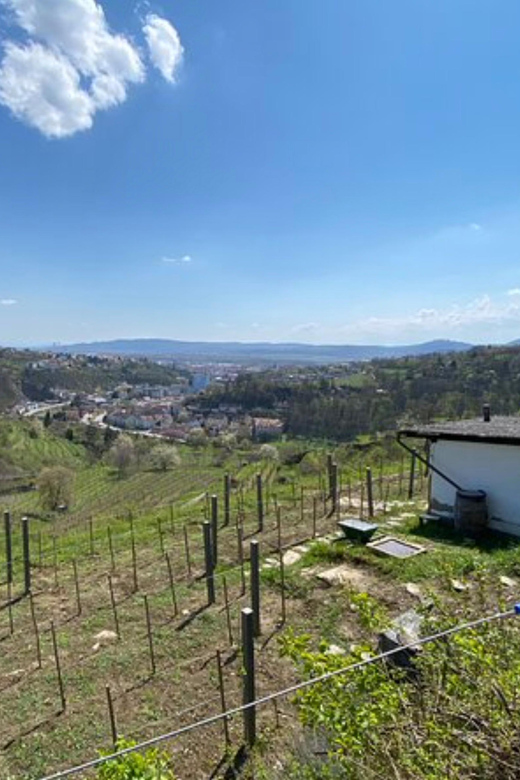 Taste and Tour Small Organic Wineries with a Winemaker - Key Points