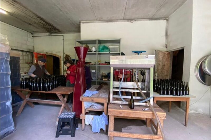 Taste and Tour Small Organic Wineries with a Winemaker - Visiting Wineries in the Lower Austria Region