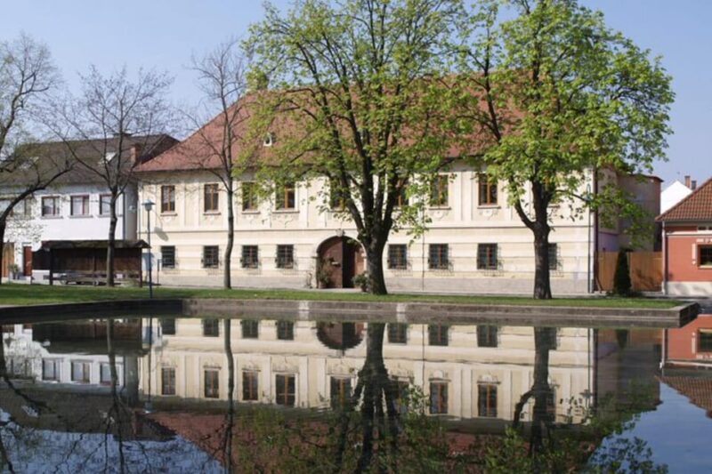 Taste and Tour Small Organic Wineries with a Winemaker - Practical Details and Logistics