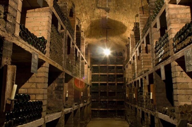 Taste and Tour Small Organic Wineries with a Winemaker - Frequently Asked Questions