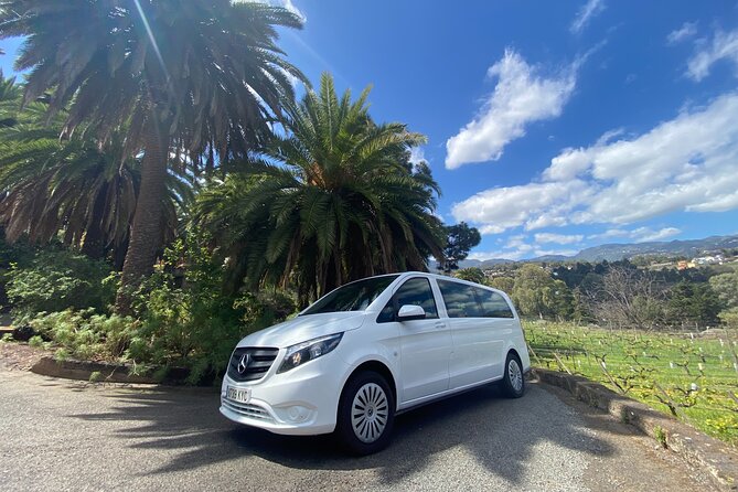 Taste Gran Canaria's unique wines - Explore Gran Canarias Unique Wine Scene for $112.29