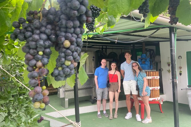 Taste Gran Canaria's unique wines - Logistics and Practical Details