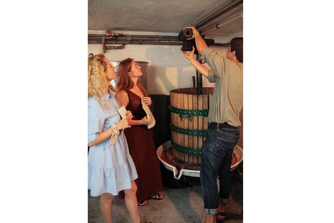 Taste Local Wines and Discover Pezinok - Visiting the "MERLAJ" Winery and Local Cellar for Grape Varieties