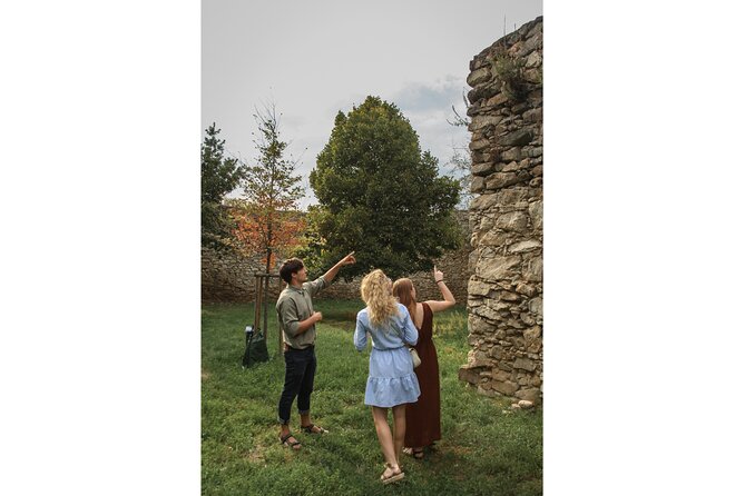 Taste Local Wines and Discover Pezinok - Exploring Pezinok’s Historic Viticulture Sites