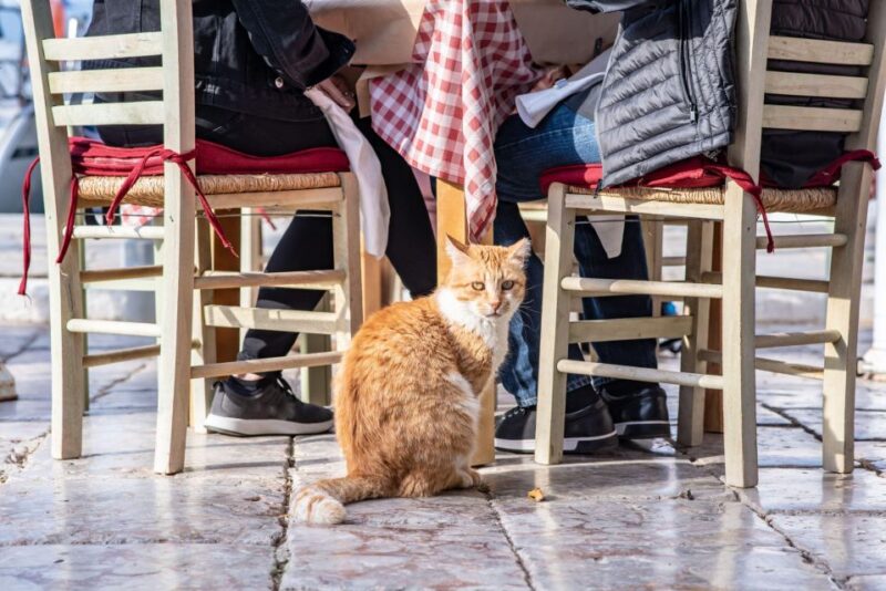 Taste of Athens: Half-Day Small Group Food Tour - Making Greek Salad and Tasting Seasonal Juices