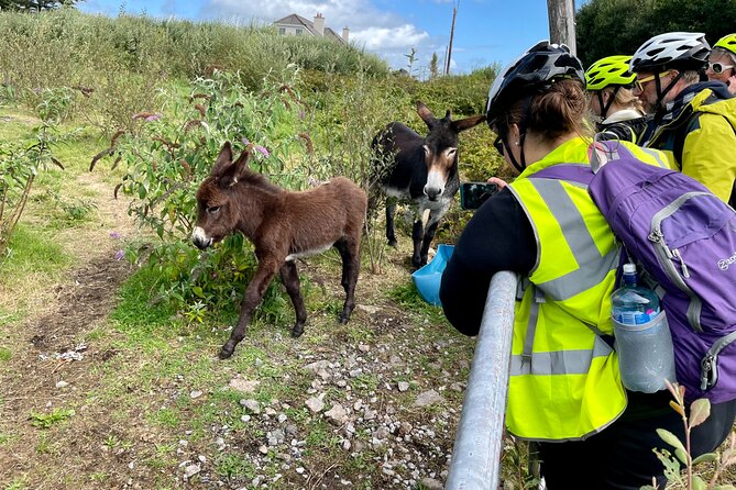 Taste of Connemara Tour by Electric Fat Tyre Bike - Guide Expertise and Tour Quality