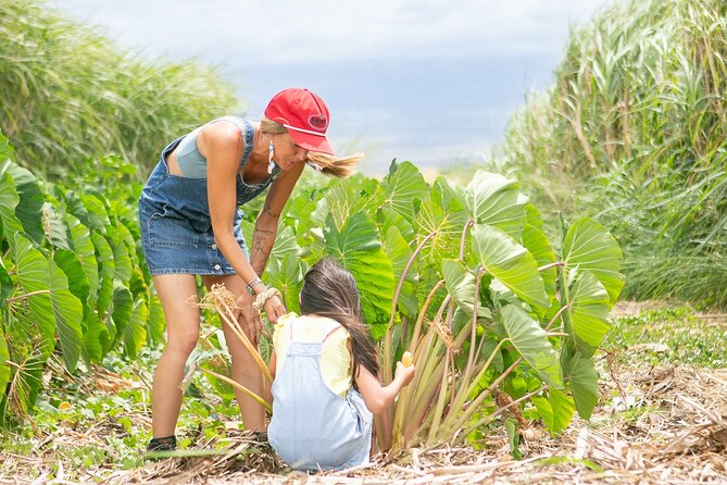 Taste of Hawaii: A Maui Farm Tour - The Guide and Their Passion for Farming