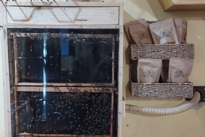 Taste of Korcula Tour (local produce tasting) - The Intimate, Guided Walk Through Lumbarda Village