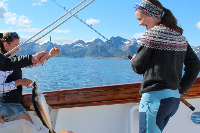 Taste of Lofoten Cultural Fishing Experience from Svolvær - Discover the Authentic Lofoten Fishing Tradition in Style