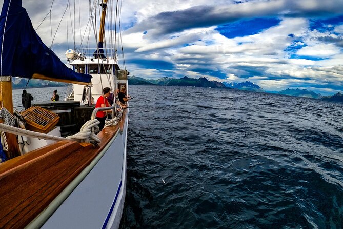 Taste of Lofoten Cultural Fishing Experience from Svolvær - Experience Traditional Fishing with Modern Comforts