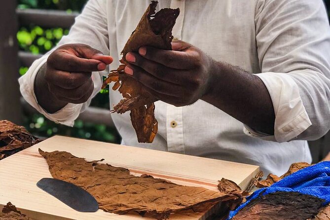 Taste of Mexico: Rolling Cigar & Tequila Experience with transfer - Tequila Tasting and Authentic Mexican Drinks